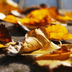 兑换平台正版的ddos网页在线攻击