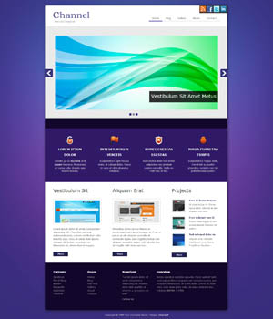 有优惠渠道吗的网页攻击器