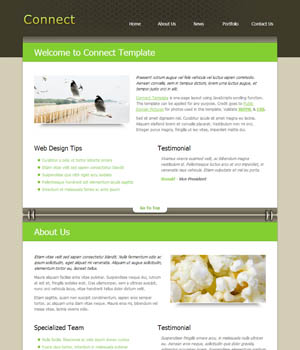 一键安装即可用的ddos攻击工具