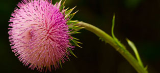 交易市场安全的网站攻击测试